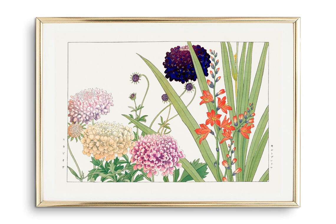 Japanese Scabiosa Crocosmia Vintage Botanical Floral Wall Art - Image 2