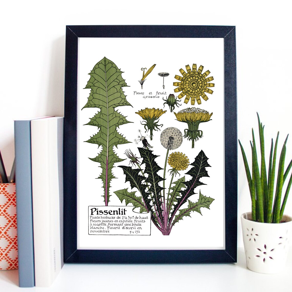 Vintage French Dandelion Botanical Chart Retro Wild Plant Poster - Image 3