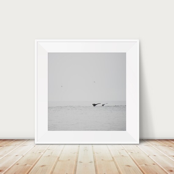 Blue Whale Tail Print Pacific Ocean Animal Photography Nursery Wall Art