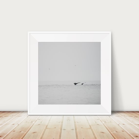 Whale Tail Ocean Photography Minimalist Pacific Seascape Wall Art
