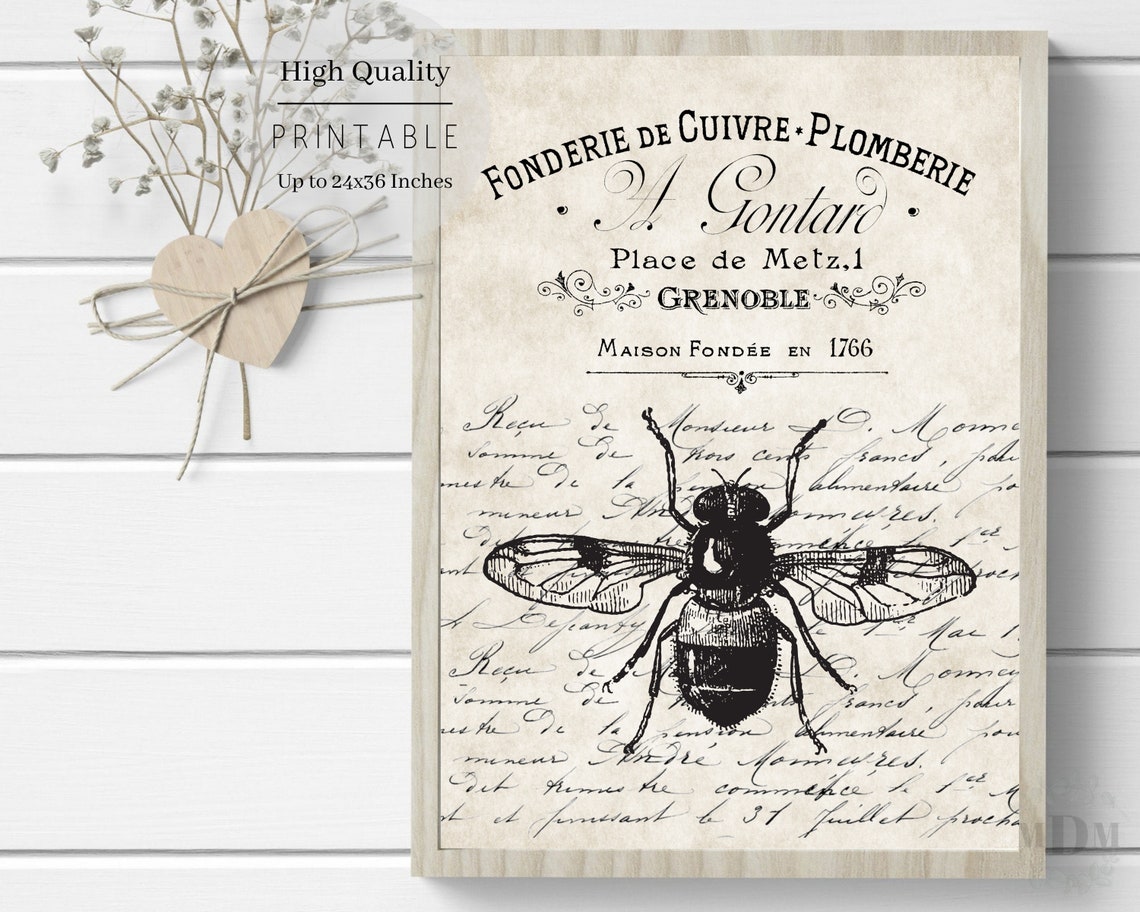 Black Bee French Typography Script Aged Parchment Vintage Wall Poster - Image 3