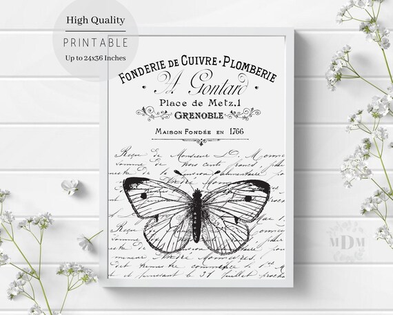 Black White Butterfly French Script Typography Vintage Grenoble Art Poster