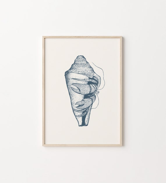 Hermit Crab Nature Wall Art, Vintage Modern Poster