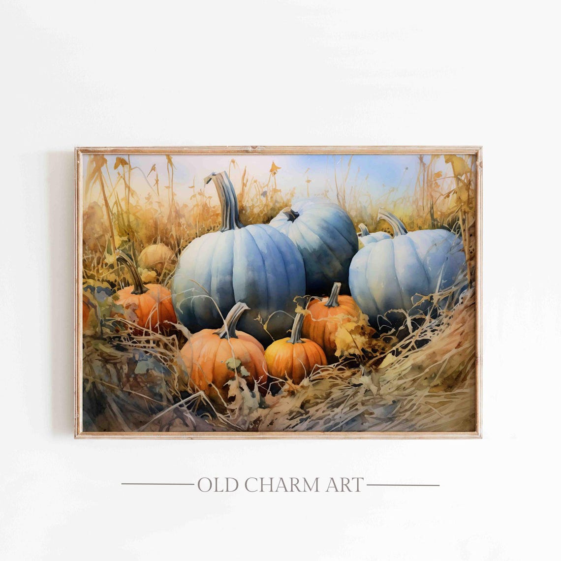 Blue And Orange Pumpkins Nestled In Golden Hay Fall Field Poster