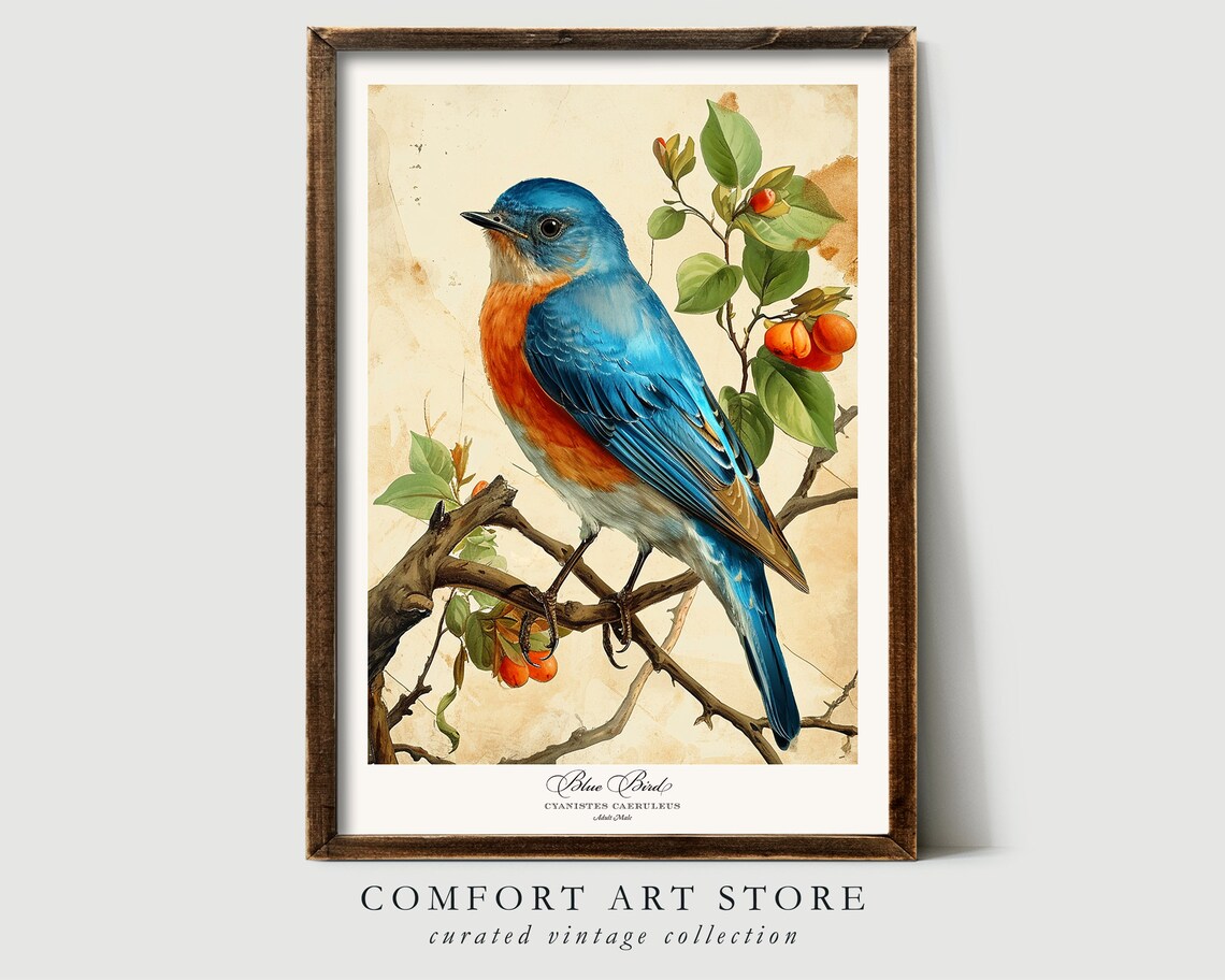 Audubon Style Bird Print, Vintage Nature Poster - Image 3