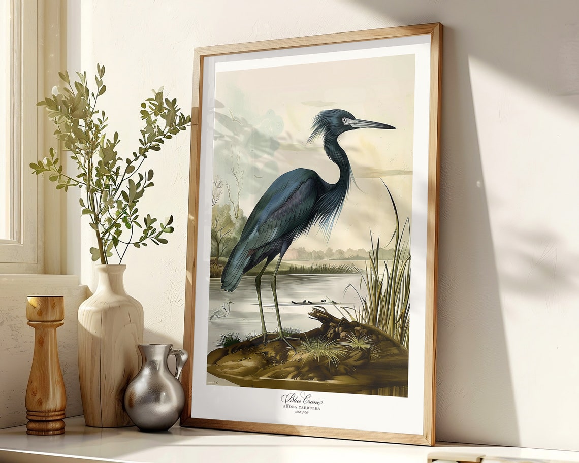Blue Crane Heron in the Marsh Vintage Audubon Bird Art Poster - Image 7