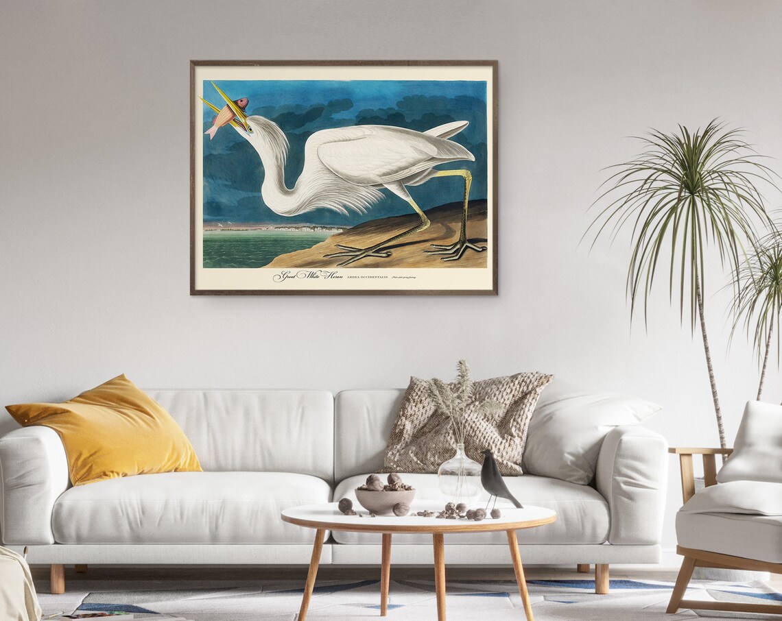Audubon Print Set Sea Birds Vintage Nature Poster - Image 6