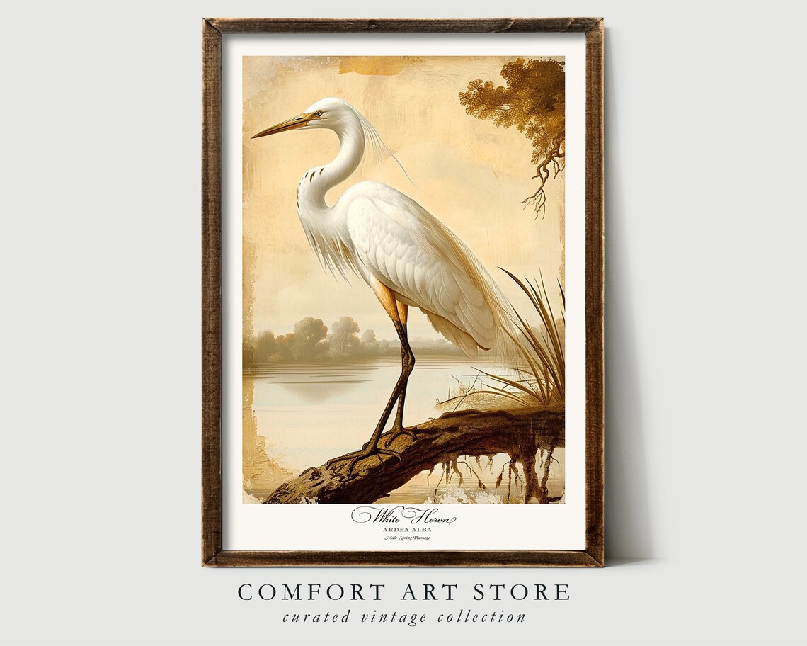 White Heron Bird Print, Vintage Nature Poster - Image 6