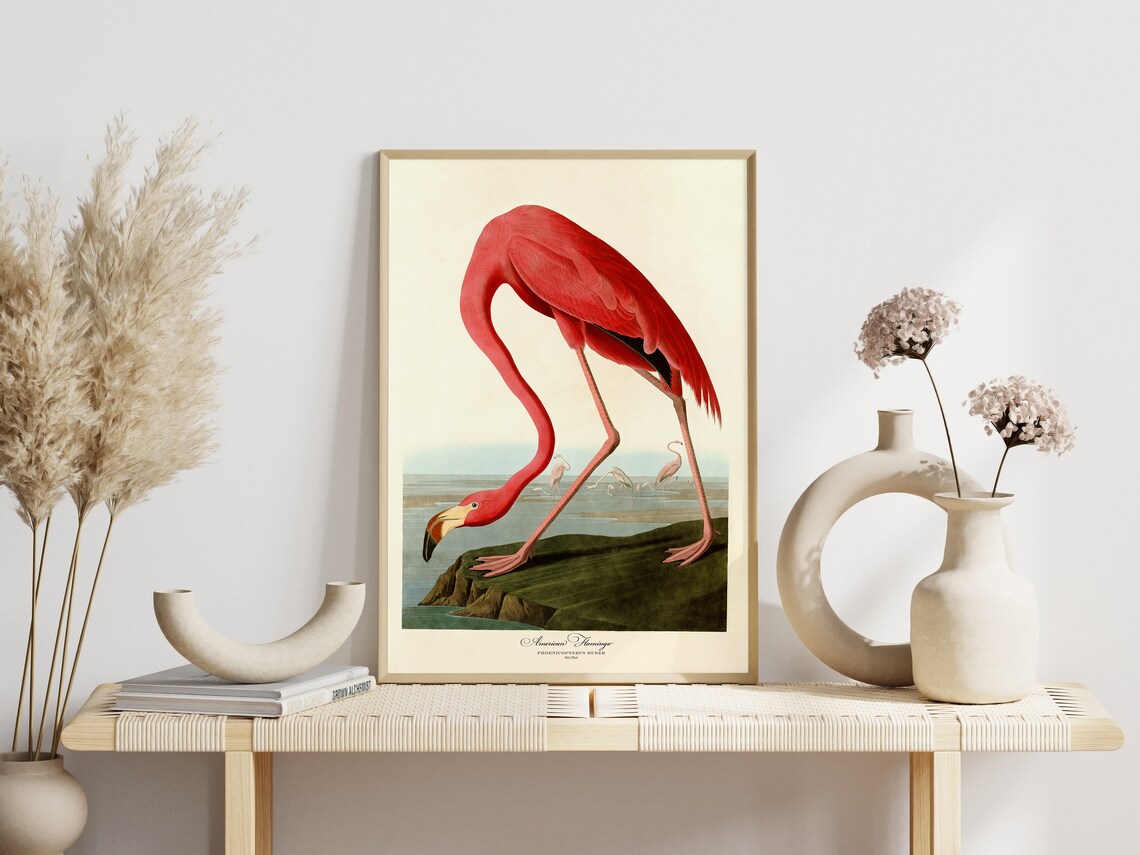 Audubon Bird Print Set, Vintage Retro Art Print