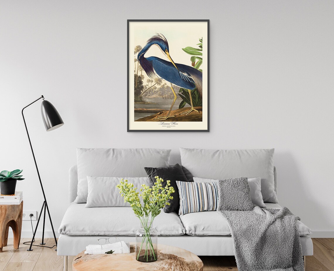 Audubon White Heron Vintage Retro Art Print Set - Image 4