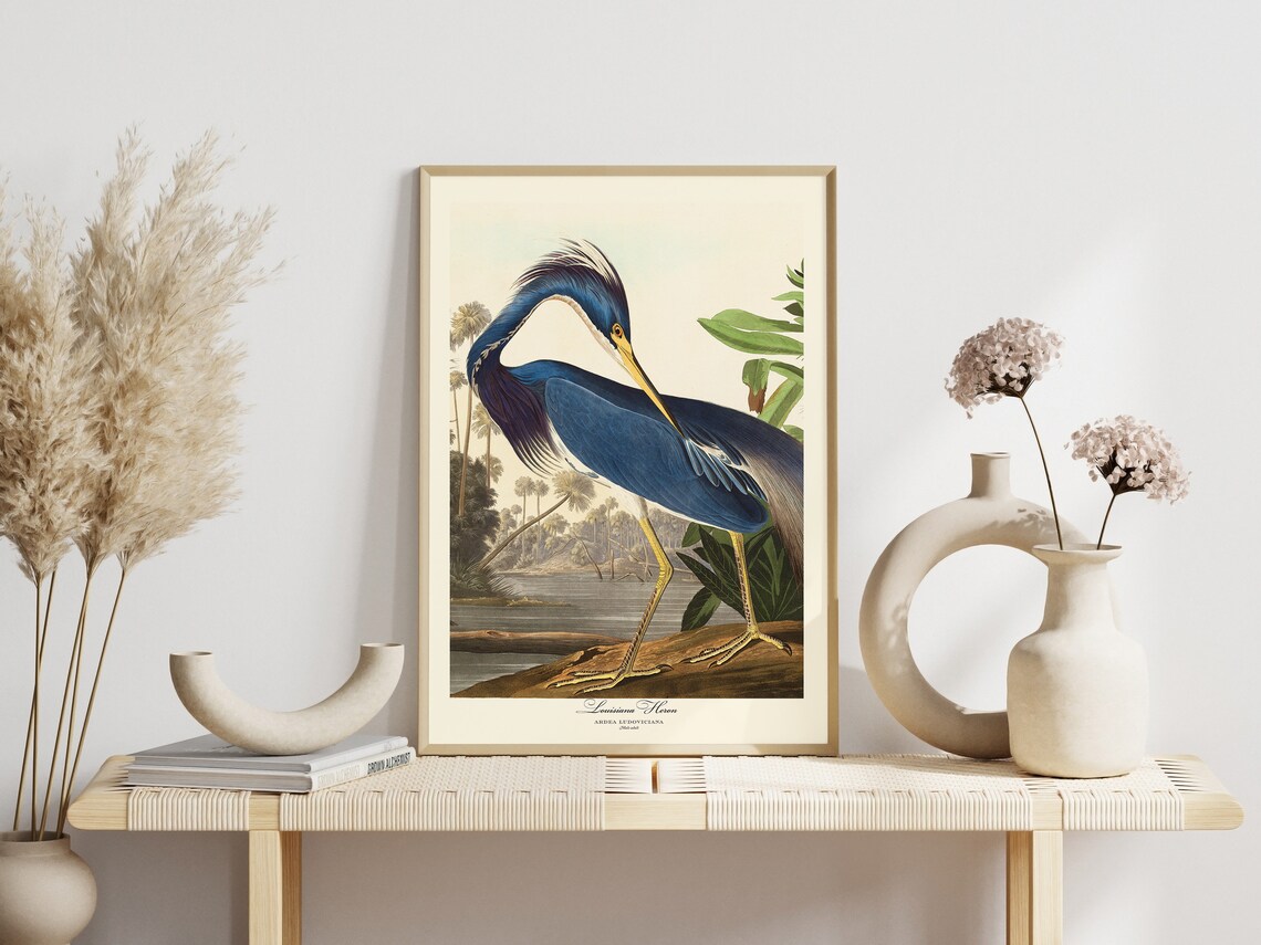 Audubon White Heron Vintage Retro Art Print Set - Image 8