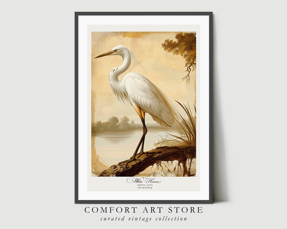White Heron Bird Print, Vintage Nature Poster - Image 5