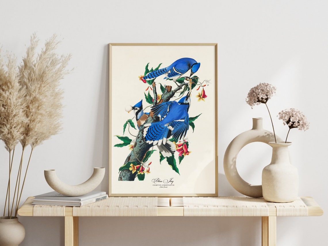 Carolina Parrot Audubon Style Vintage Bird Art Gallery Wall Poster - Image 6