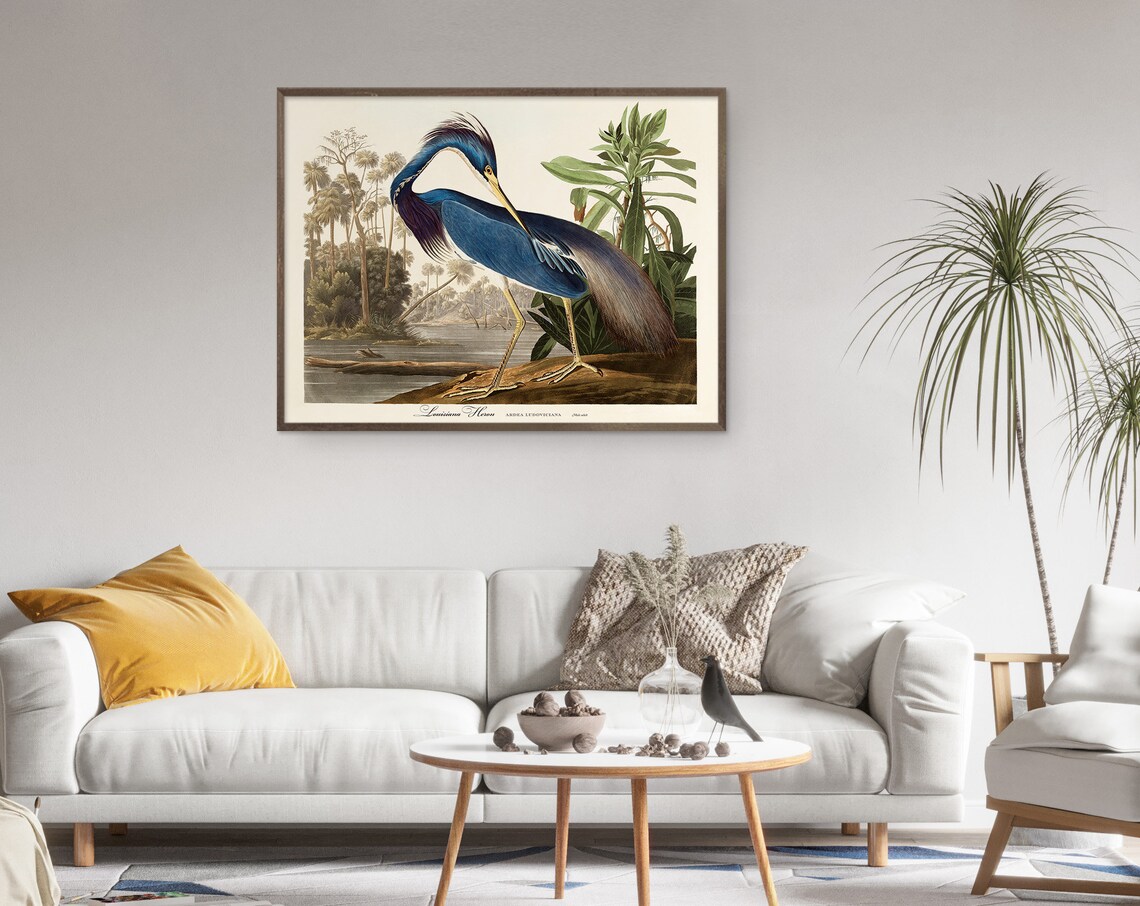 Audubon Print Set Sea Birds Vintage Nature Poster - Image 4