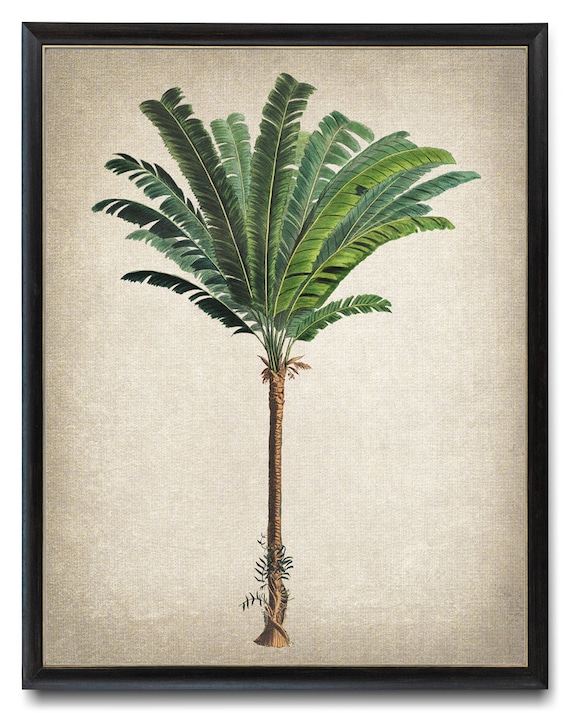 Palm Tree Troolie Palm Vintage Illustration Art Print
