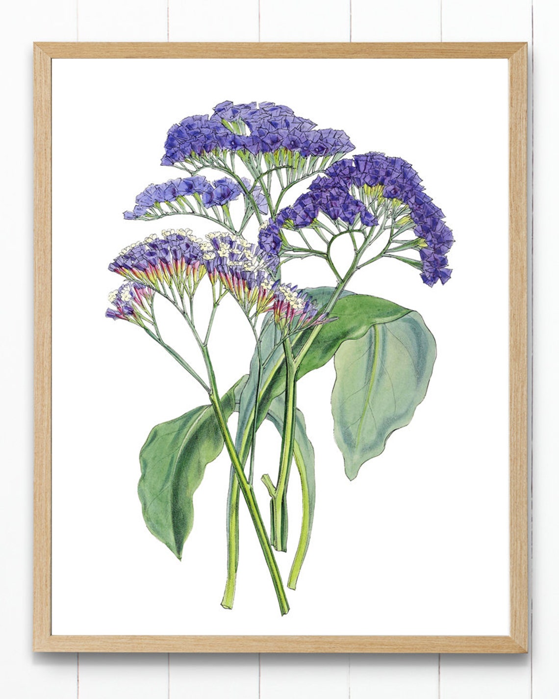 Purple Sea Lavender Wildflowers Vintage Botanical Illustration Poster - Image 3