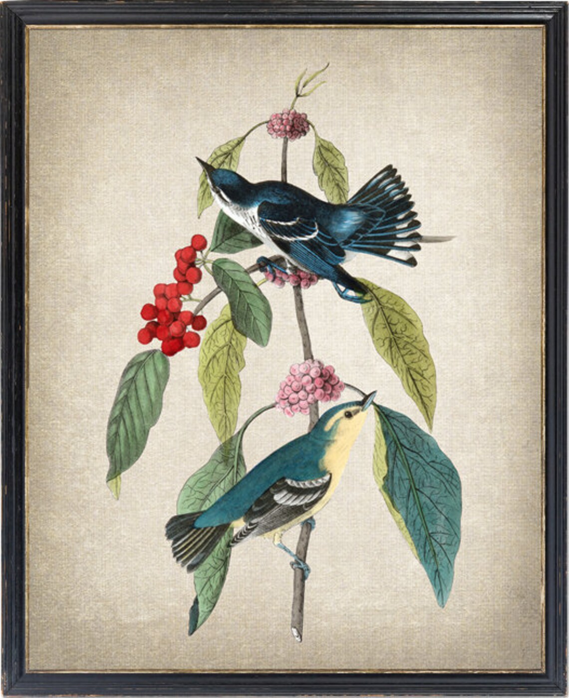 Cerulean Warbler Vintage Bird and Botanical Print