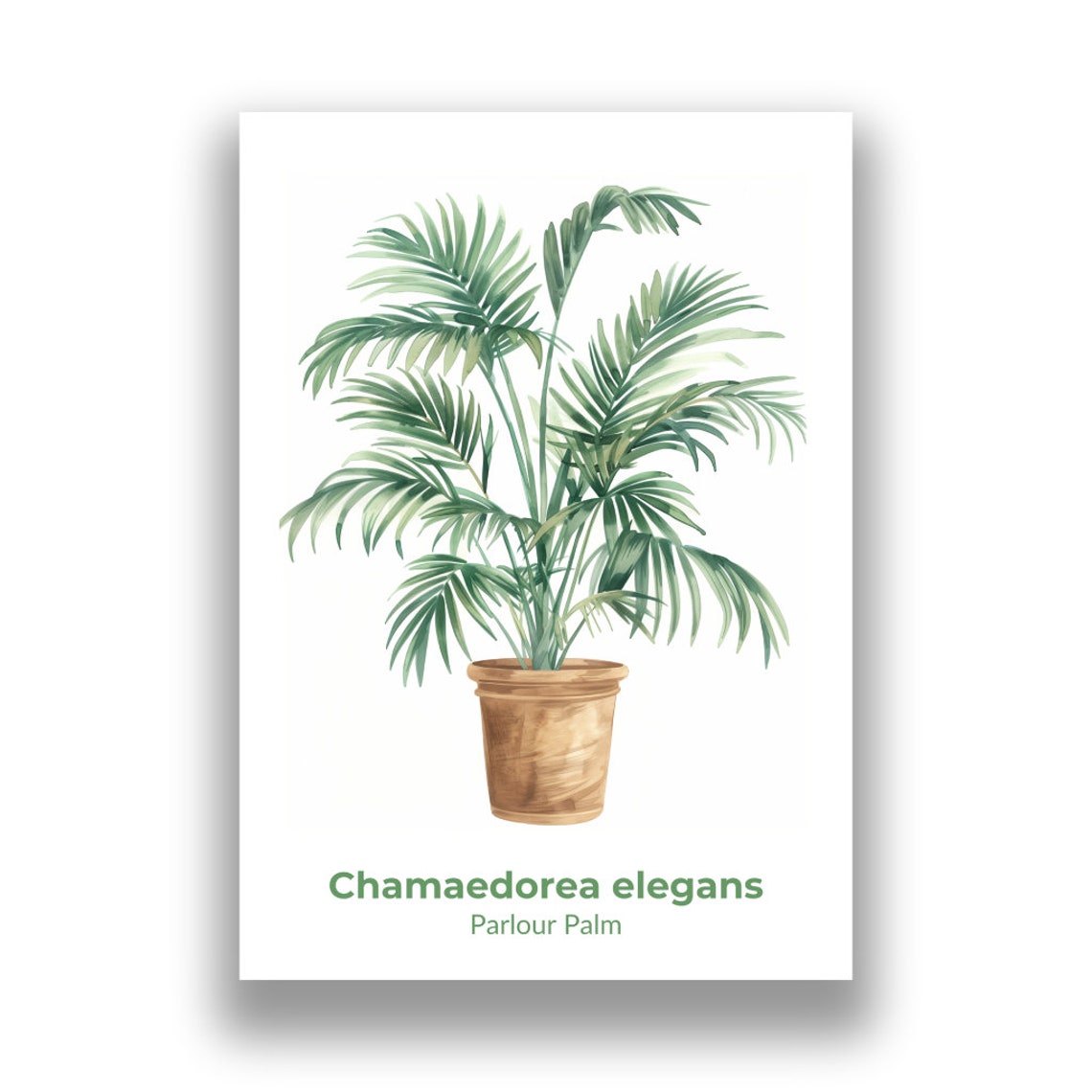 Parlour Palm Chamaedorea Elegans Fronds Watercolor Botanical Poster - Image 2