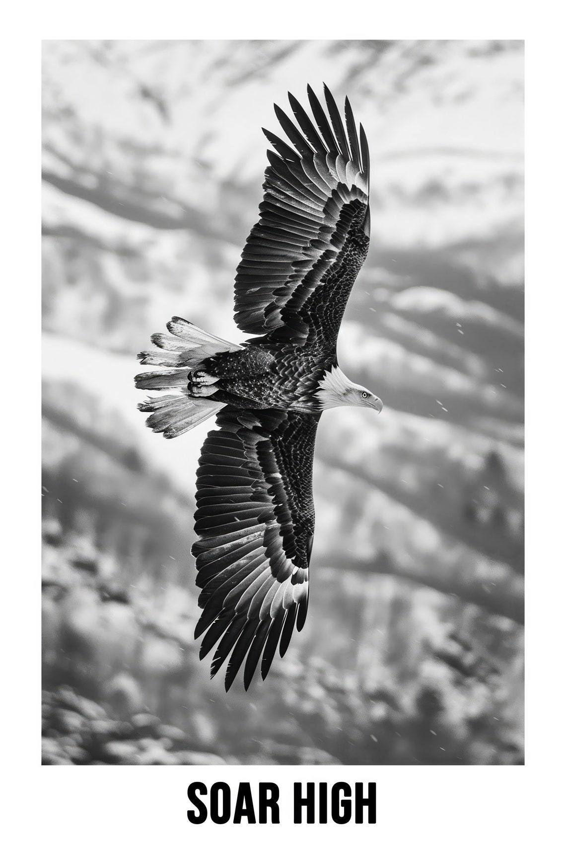 Majestic Bald Eagle Soaring In Flight Soar High Black White Poster - Image 2