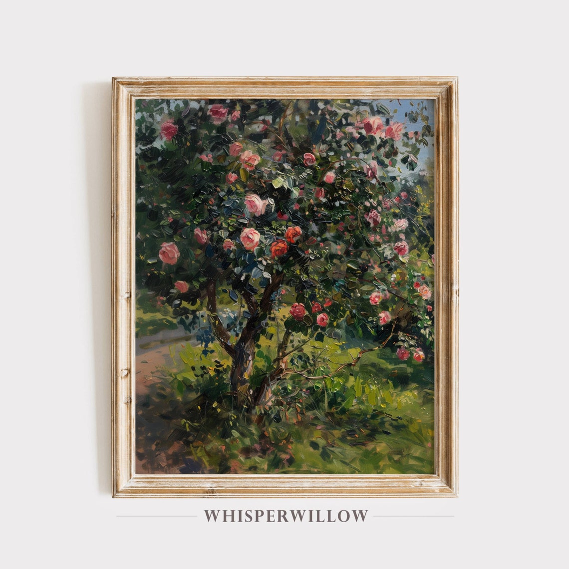 Blooming Pink Rose Bush In Sunlit Garden Impressionist Art Poster