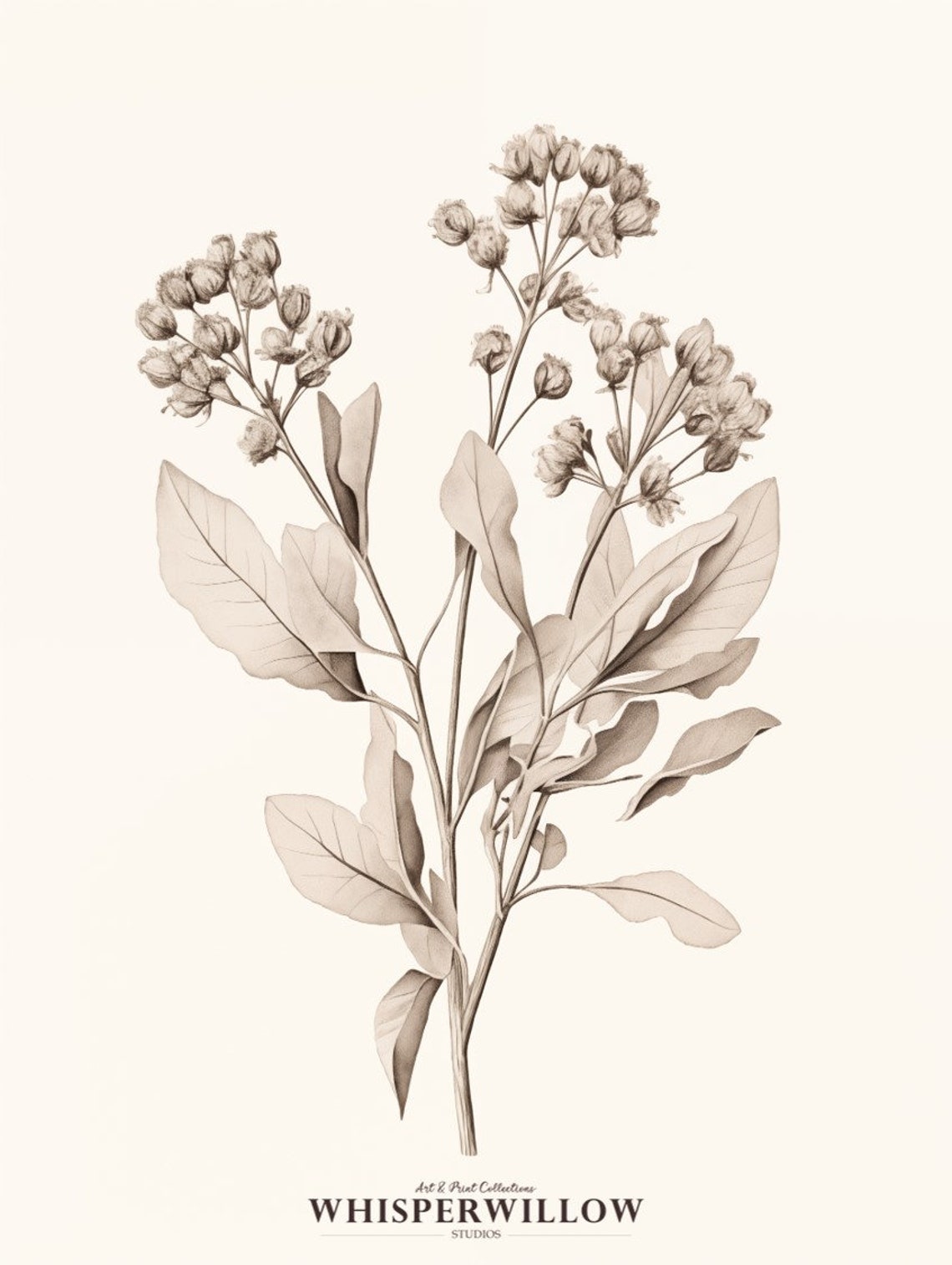 Sepia Flowering Branch Botanical Sketch Antique Foliage Study Poster - Image 6
