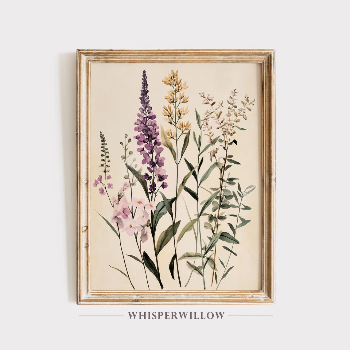 Delicate Purple and Pink Wildflower Botanical Illustration Poster