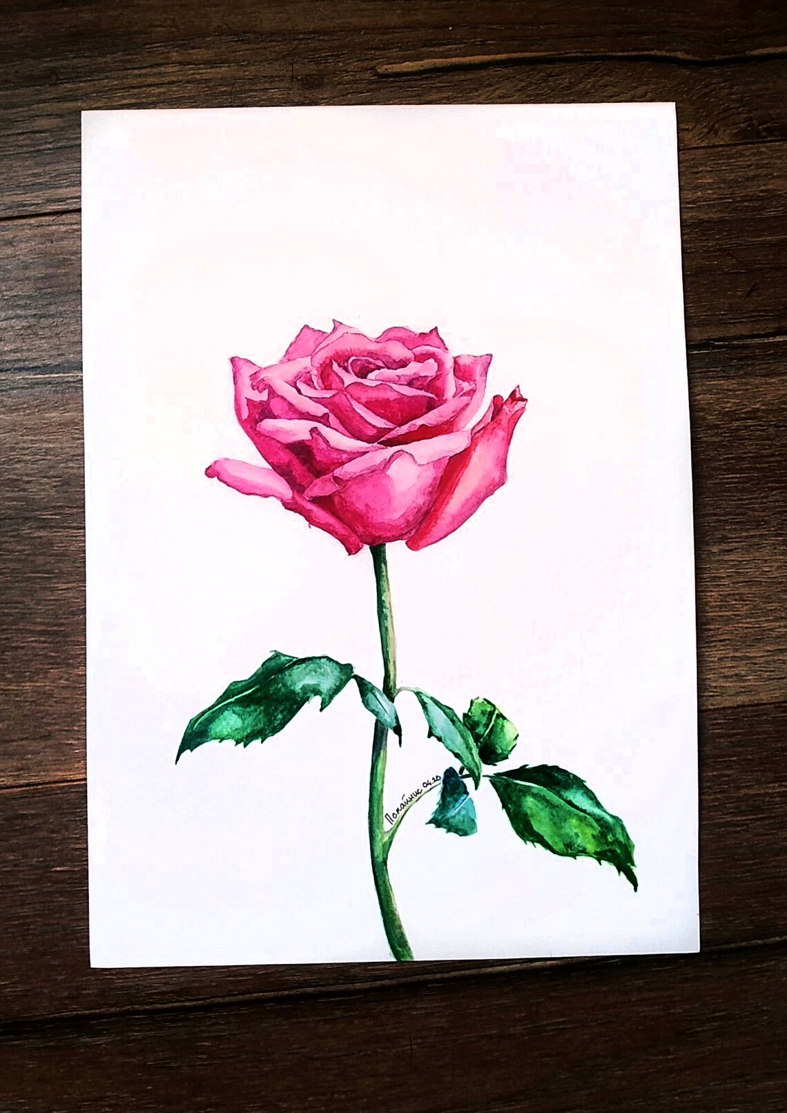 Pink Rose Stem Watercolor Romantic Flower Botanical Art Poster - Image 4