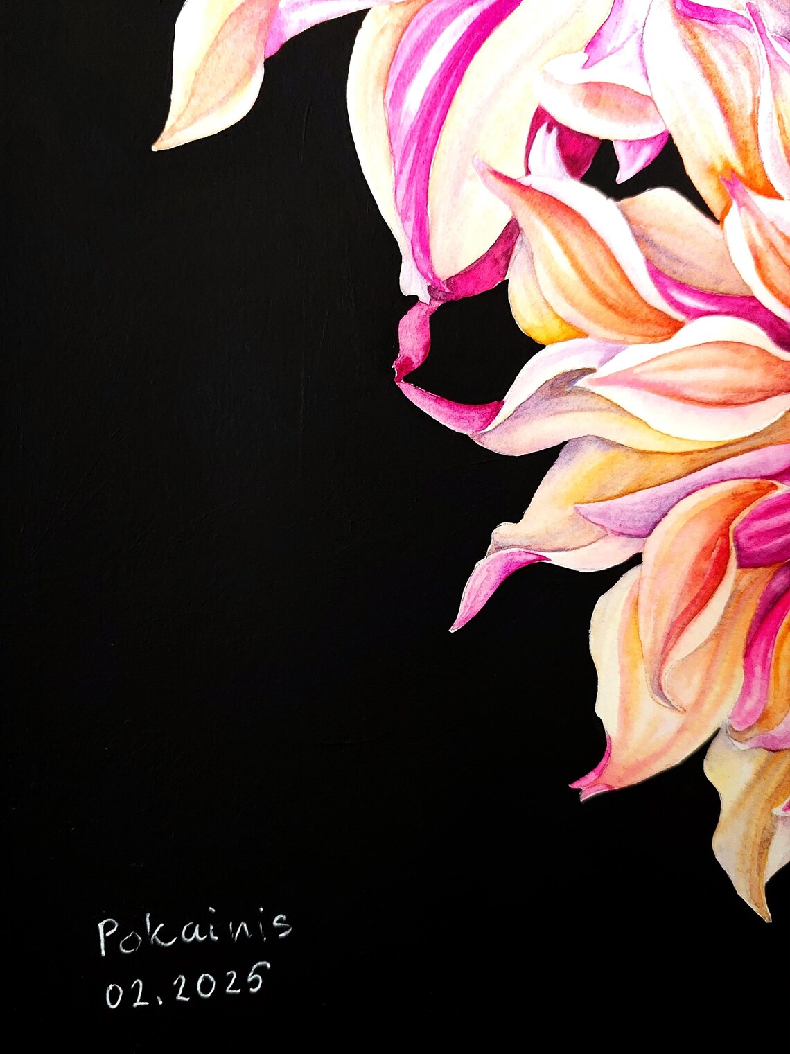 Pink Dahlia Trio Watercolor Floral on Black Background Poster - Image 4