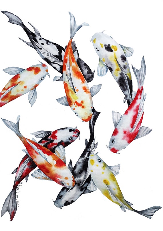 Nine Koi Fish Abstract Watercolor Art Print, Contemporary