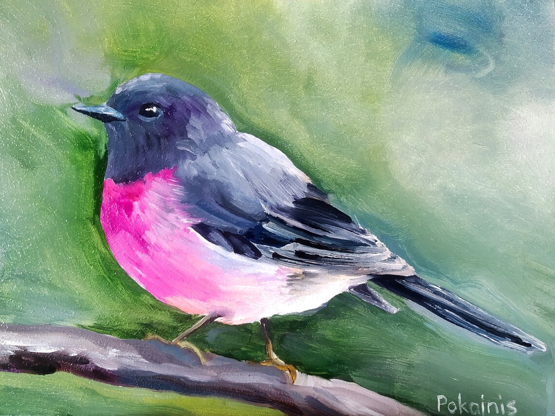 Pink Robin Bird on a Branch Impasto Style Oil Painting Art Poster