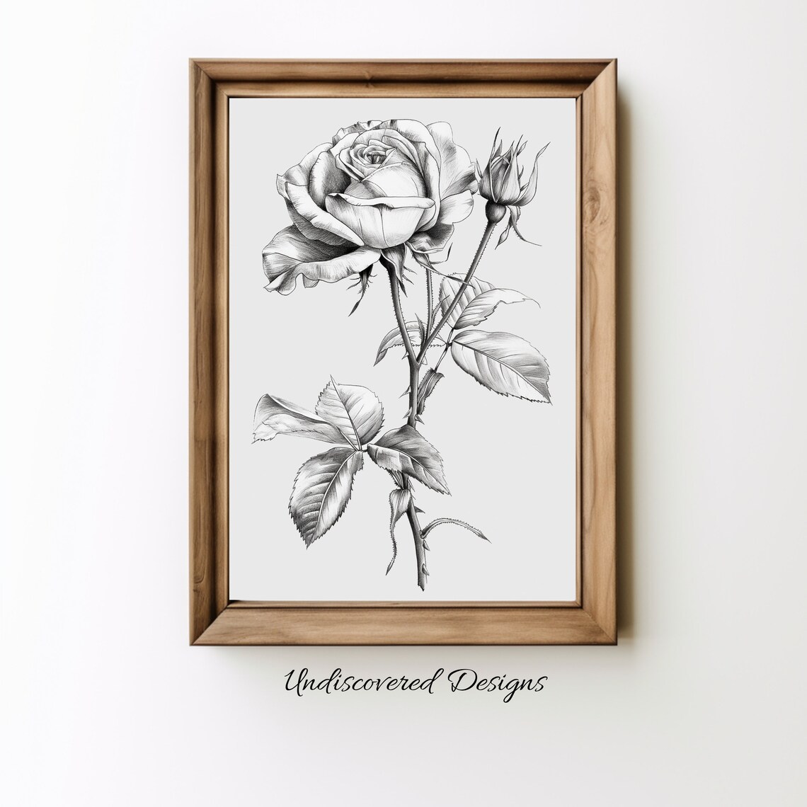 Rose Botanical Sketch Black And White Vintage Floral Art Print