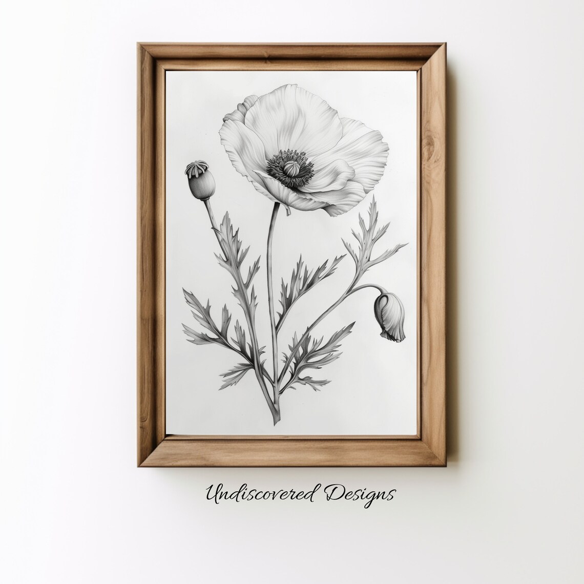 Elegant White Poppy Flower Botanical Pencil Sketch Art Poster