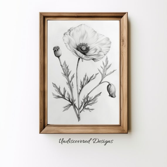 Vintage Poppies Sketch Art Print Botanical Pencil Drawing
