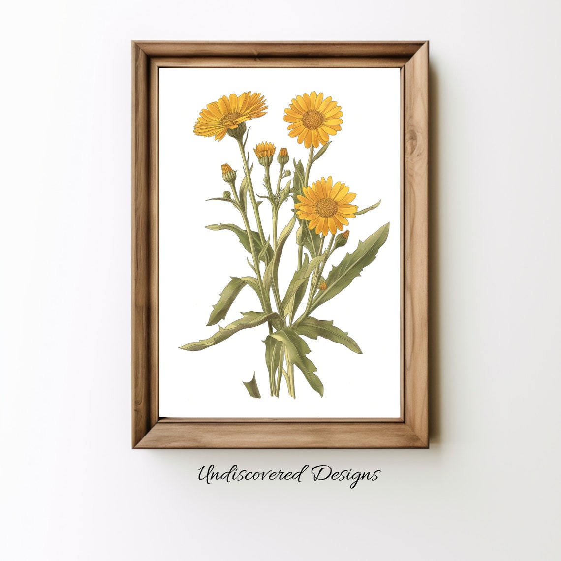 Vintage Calendula Botanical Illustration Yellow Flower Wall Art
