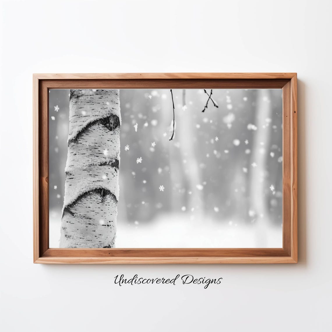 Snowy Birch Tree Trunk with Falling Snowflakes Winter Photo Poster