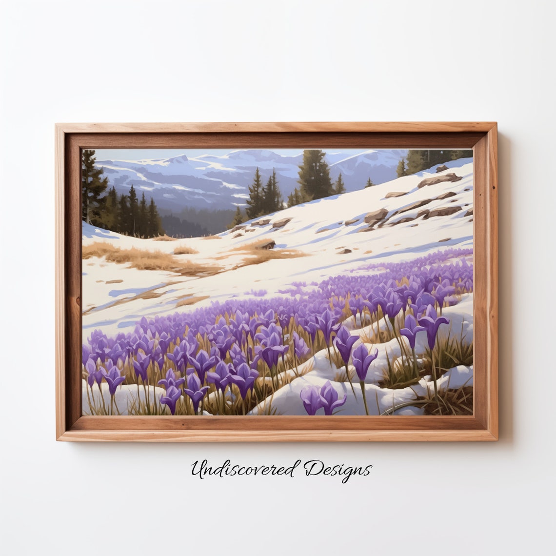 Purple Crocus Flowers Blooming In Snowy Mountain Meadow Art Print