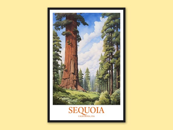 Sequoia National Park Giant Redwood Trunk Close Up Nature Poster