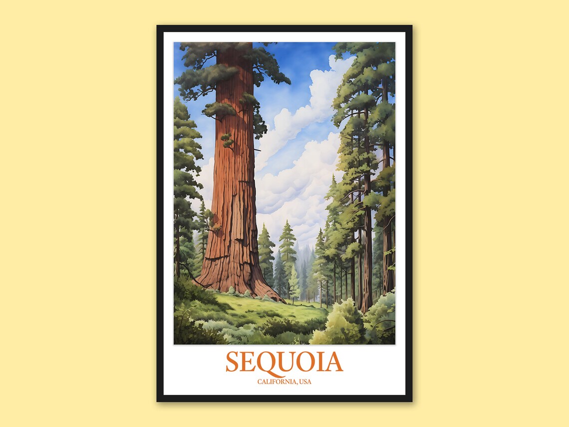 Sequoia National Park Giant Redwood Trunk Close Up Nature Poster