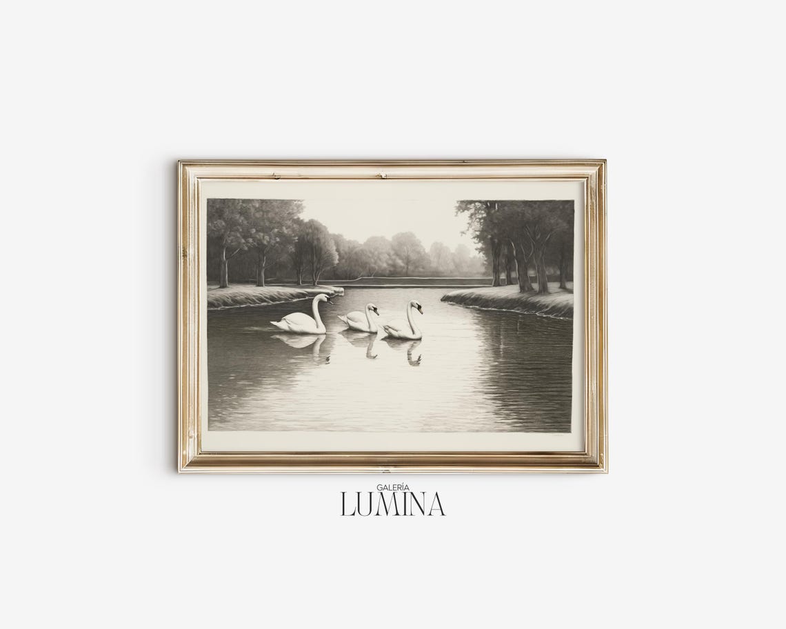 Three White Swans In Country Pond Vintage Etching Nature Poster - Image 2