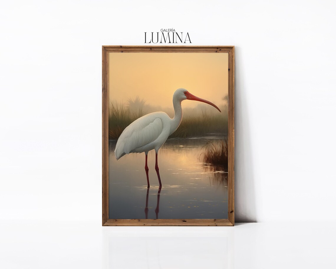 White Ibis Oil Painting Nature Wildlife Art Print - Image 3