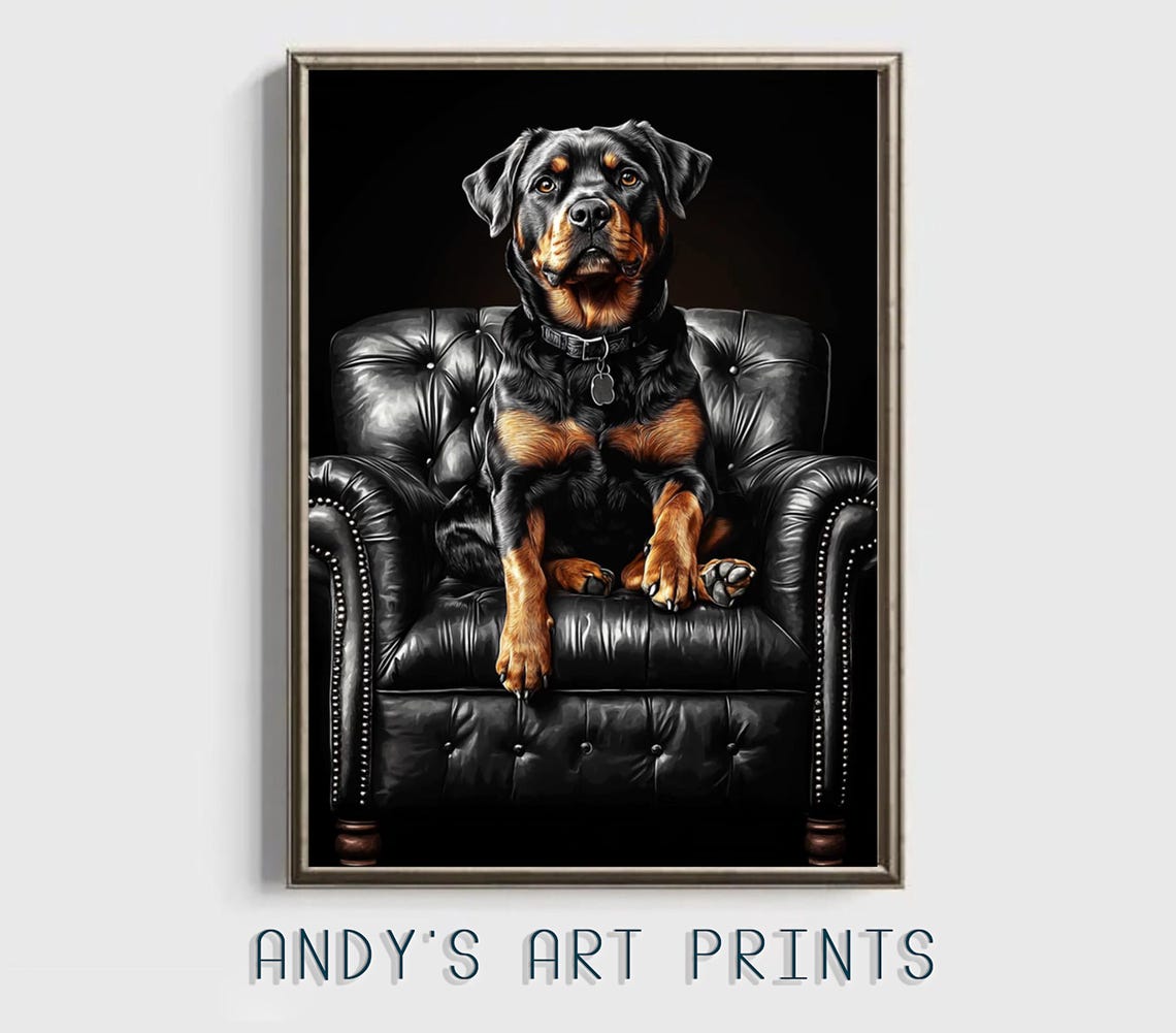 Rottweiler Sitting On Black Leather Chesterfield Chair Poster - Image 3