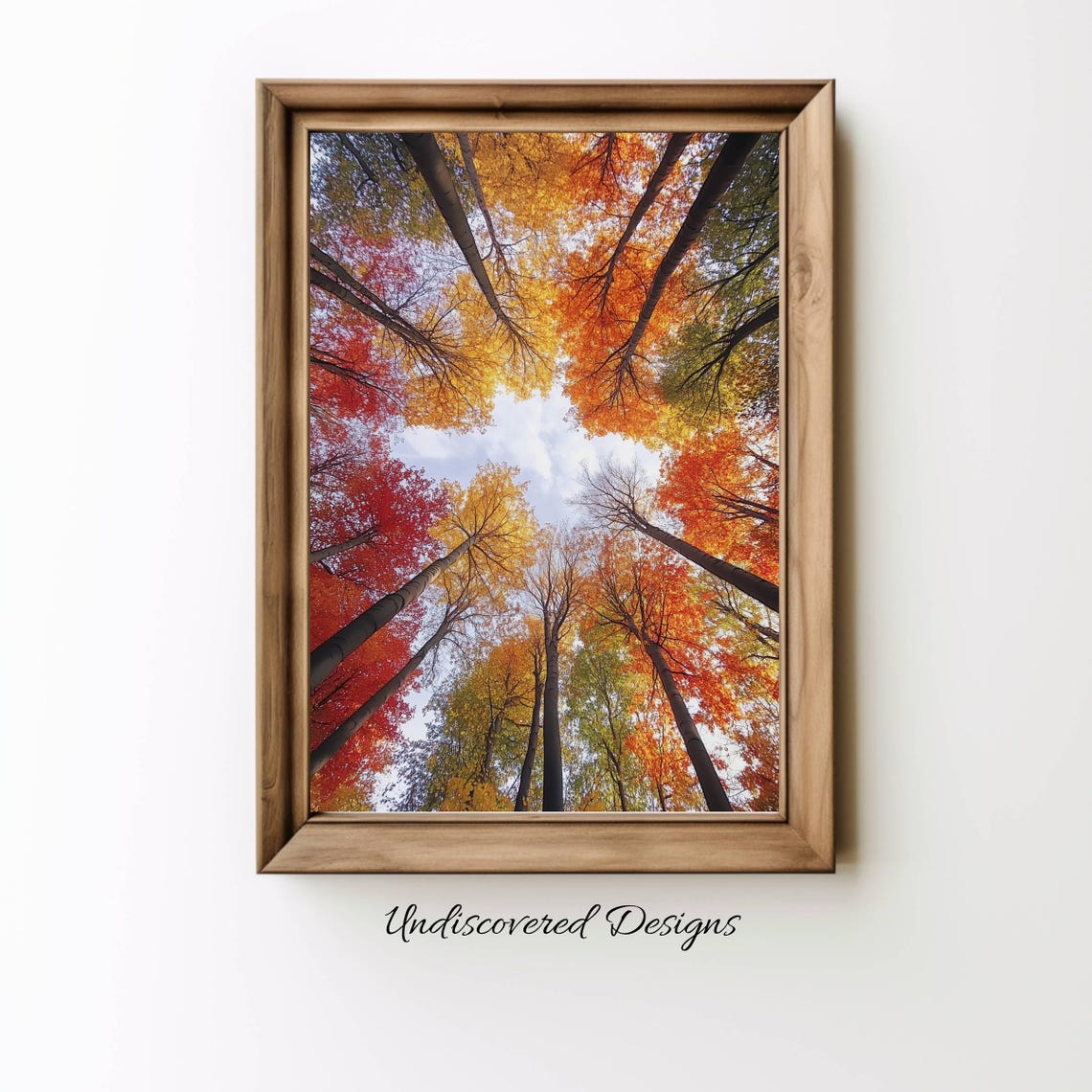 Looking Up at Autumn Tree Canopy Fall Colors From Below Art Print