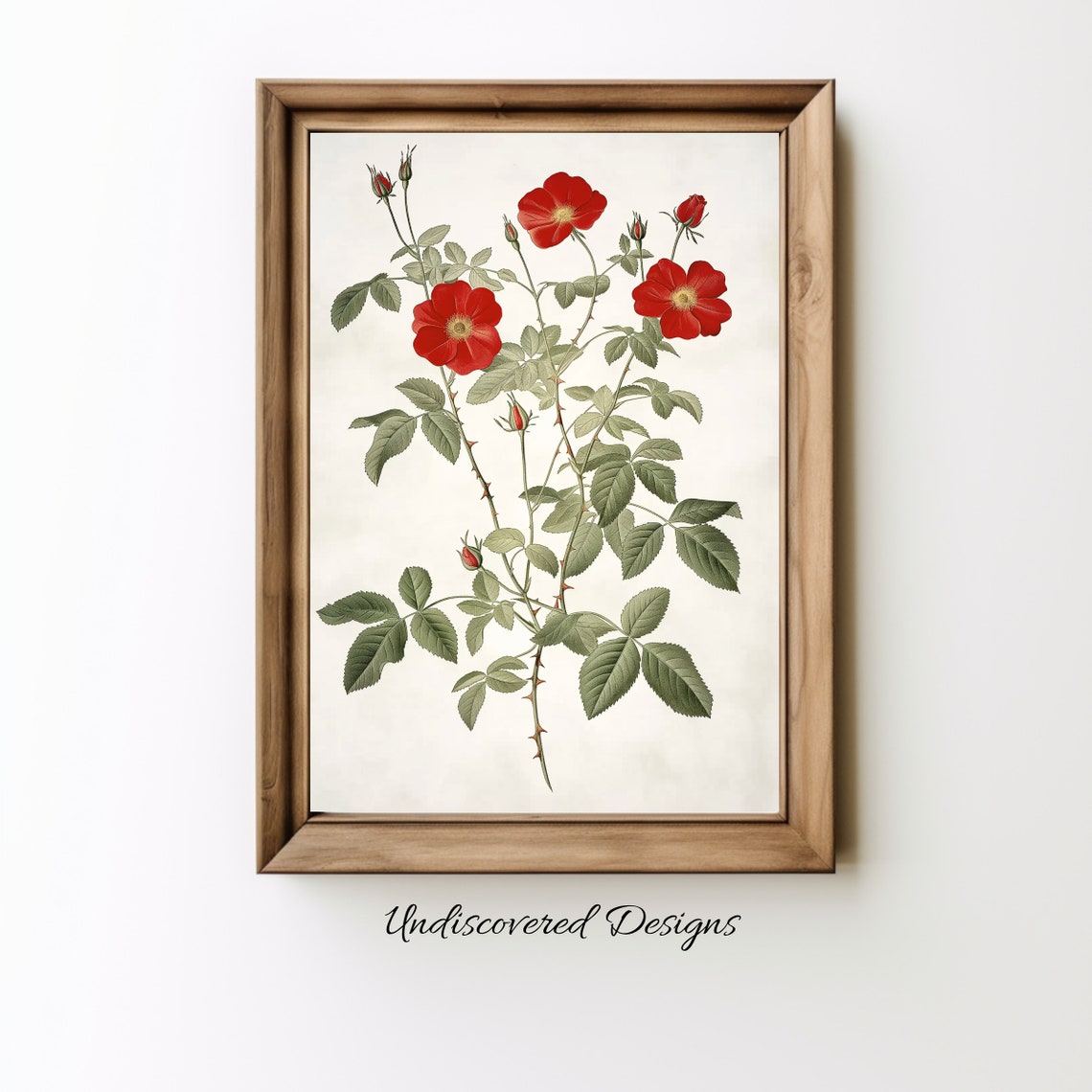 Vintage Red Wild Rose Botanical Illustration Antique Floral Wall Art