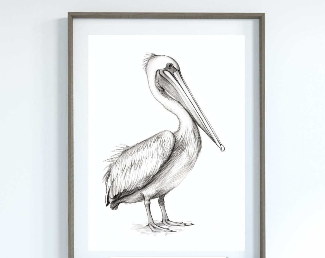 Pelican Pencil Sketch Black And White Minimalist Bird Drawing Poster