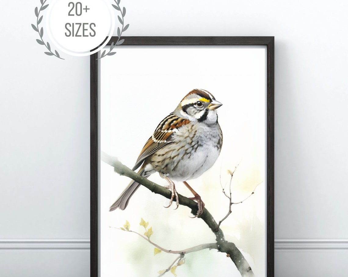 Watercolor Sparrow Perched Branch Delicate Songbird Decor Poster - Image 4