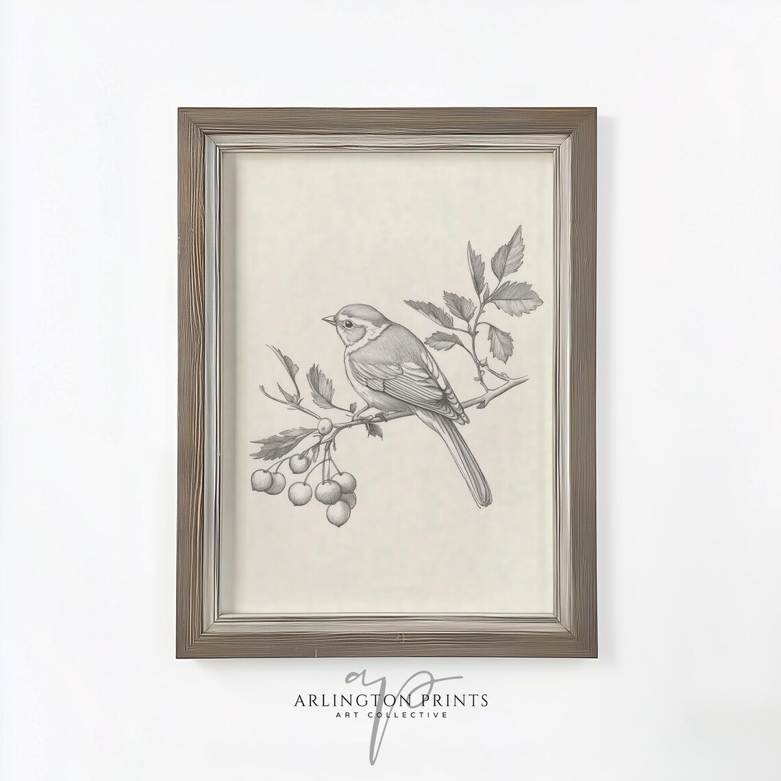 Neutral Bird Sketch Songbird Berry Branch Farmhouse Wall Art - Image 4
