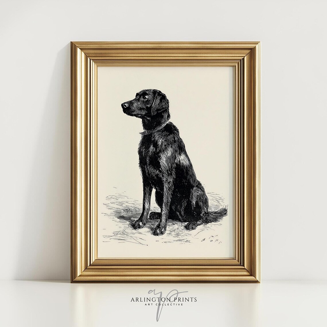 Black Labrador Engraving Portrait Classic Vintage Dog Art Poster