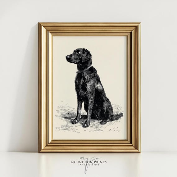 Black Lab Dog Sketch Print Vintage Ink Illustration Rustic Farmhouse Wall Art 424