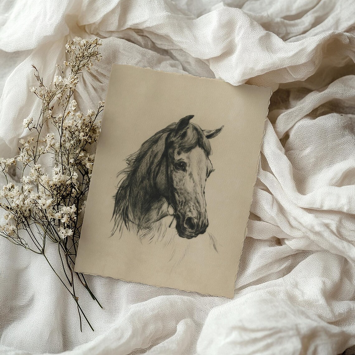 Horse Head Charcoal Portrait Sketch Vintage Equestrian Poster - Image 4