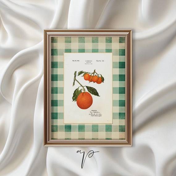 Citrus Orange Fruit Print Vintage Country Kitchen Wall Art Modern Farmhouse Kitchen Print Orange Green Decor A608